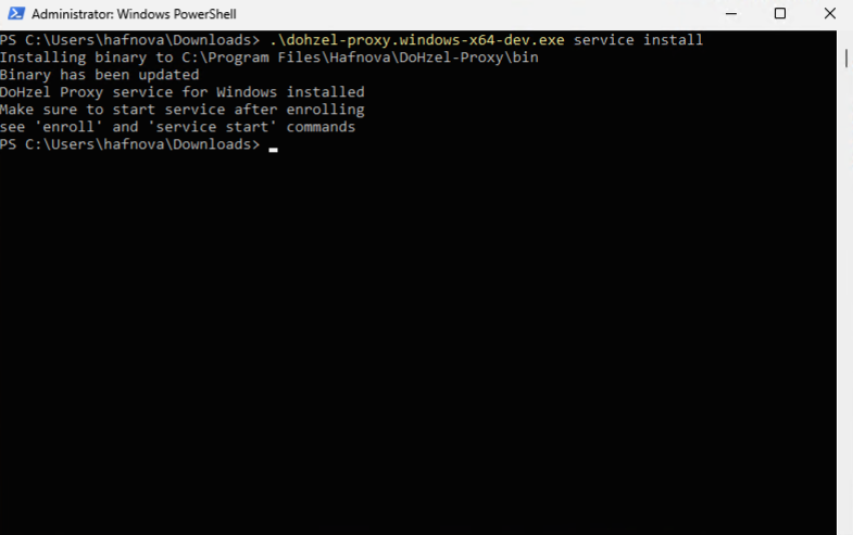 DOHzel PowerShell Service Install