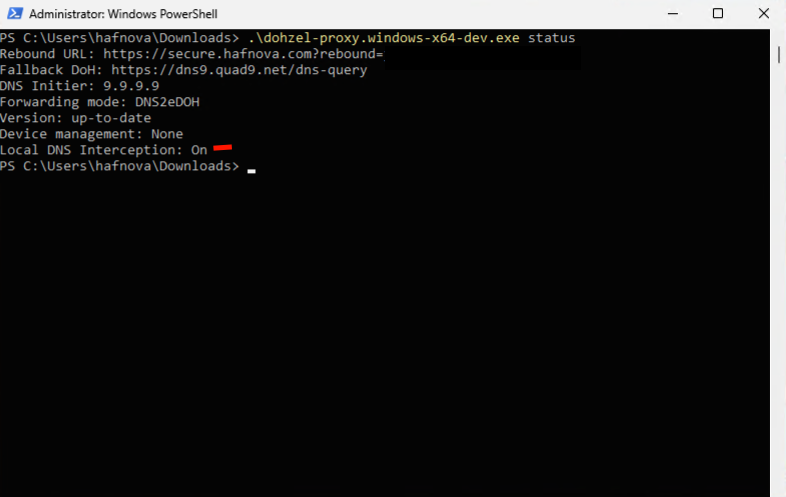 DOHzel Proxy Status
